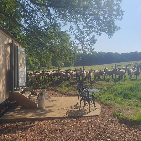 Coachroad Shepherds Huts بيتورث المظهر الخارجي الصورة