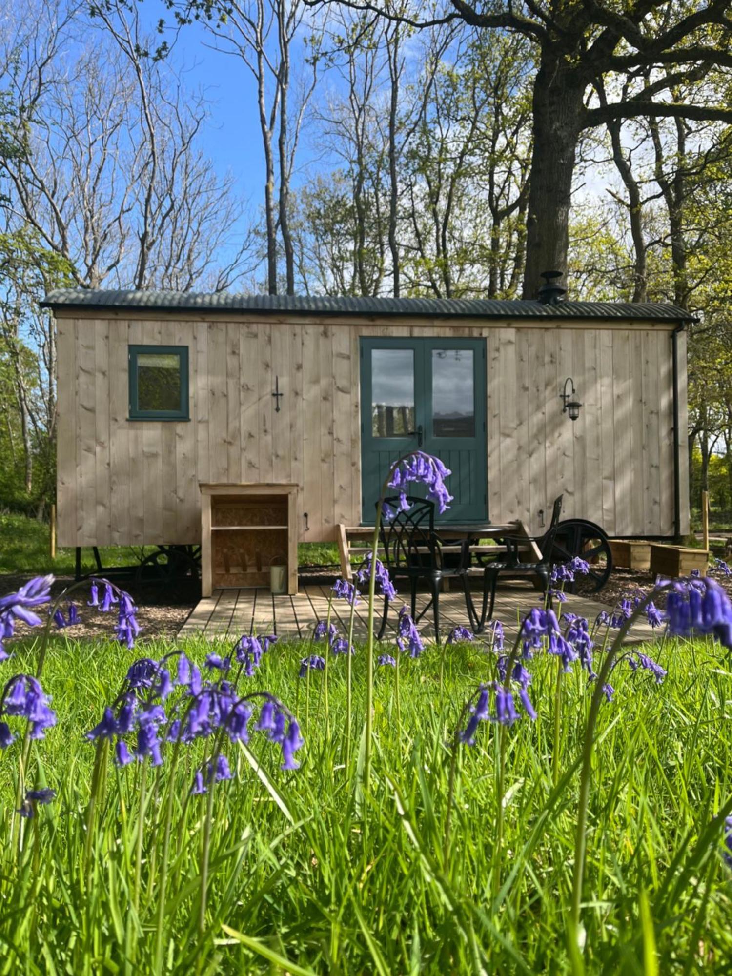 Coachroad Shepherds Huts بيتورث المظهر الخارجي الصورة
